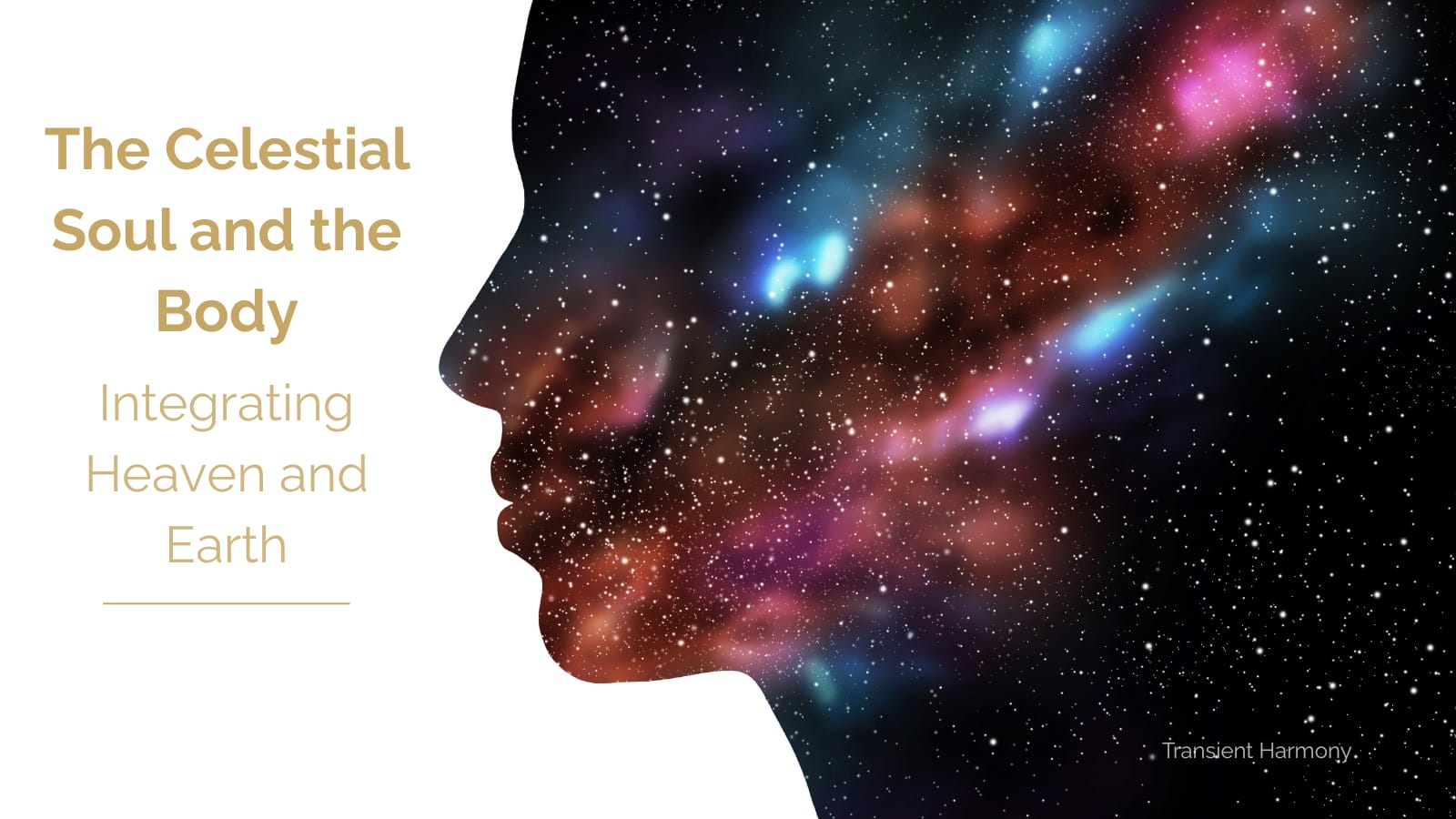 The Celestial Soul and the Body: Integrating Heaven and Earth