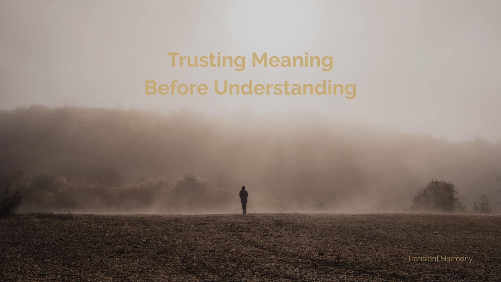 Trusting Meaning Before Understanding 1 Trusting Meaning Before Understanding