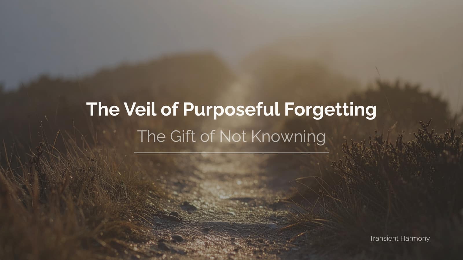 The Veil of Purposeful Forgetting: The Gift of Not Knowing 2 The Veil of Purposeful Forgetting: The Gift of Not Knowing