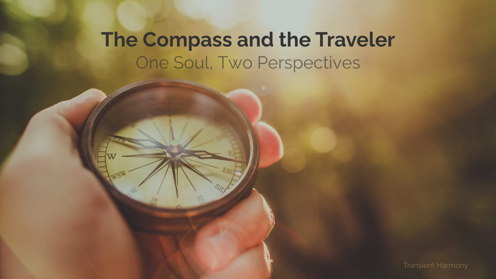 The Compass and the Traveler 1 The Compass and the Traveler