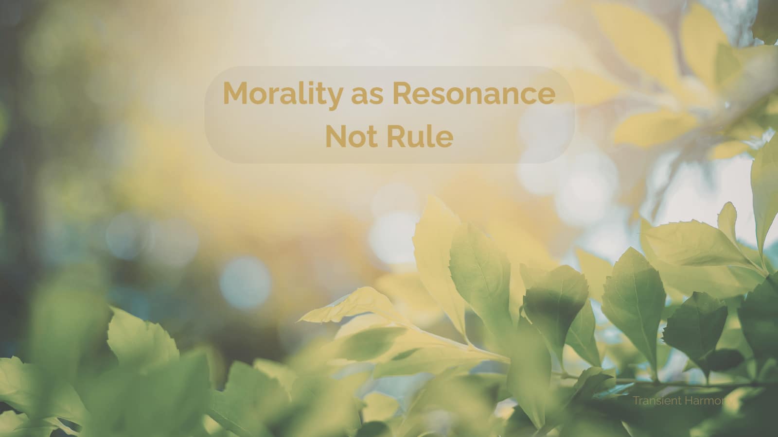 Morality as Resonance Not Rule 3 Morality as Resonance Not Rule