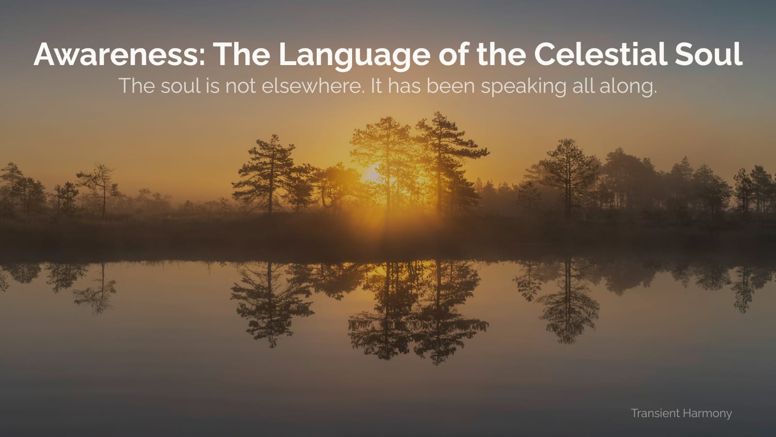 Awareness: The Language of the Celestial Soul: The soul is not elsewhere. It has been speaking all along. 1 Awareness: The Language of the Celestial Soul: The soul is not elsewhere. It has been speaking all along.