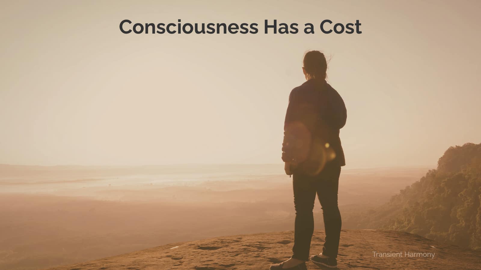 Consciousness Has a Cost 2 Consciousness Has a Cost