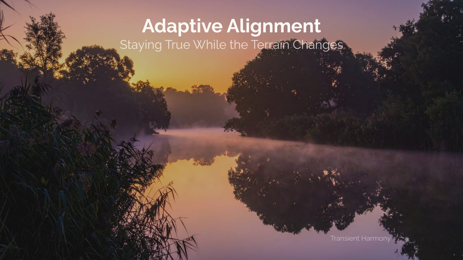 Adaptive Alignment: Staying True While the Terrain Changes 3 Adaptive Alignment: Staying True While the Terrain Changes
