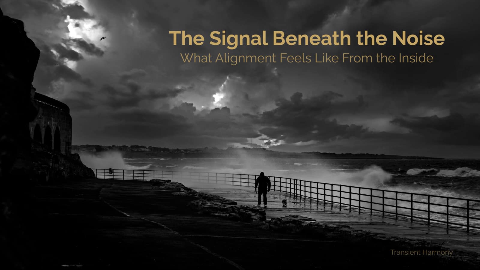 The Signal Beneath the Noise: What Alignment Feels Like From the Inside 3 The Signal Beneath the Noise: What Alignment Feels Like From the Inside