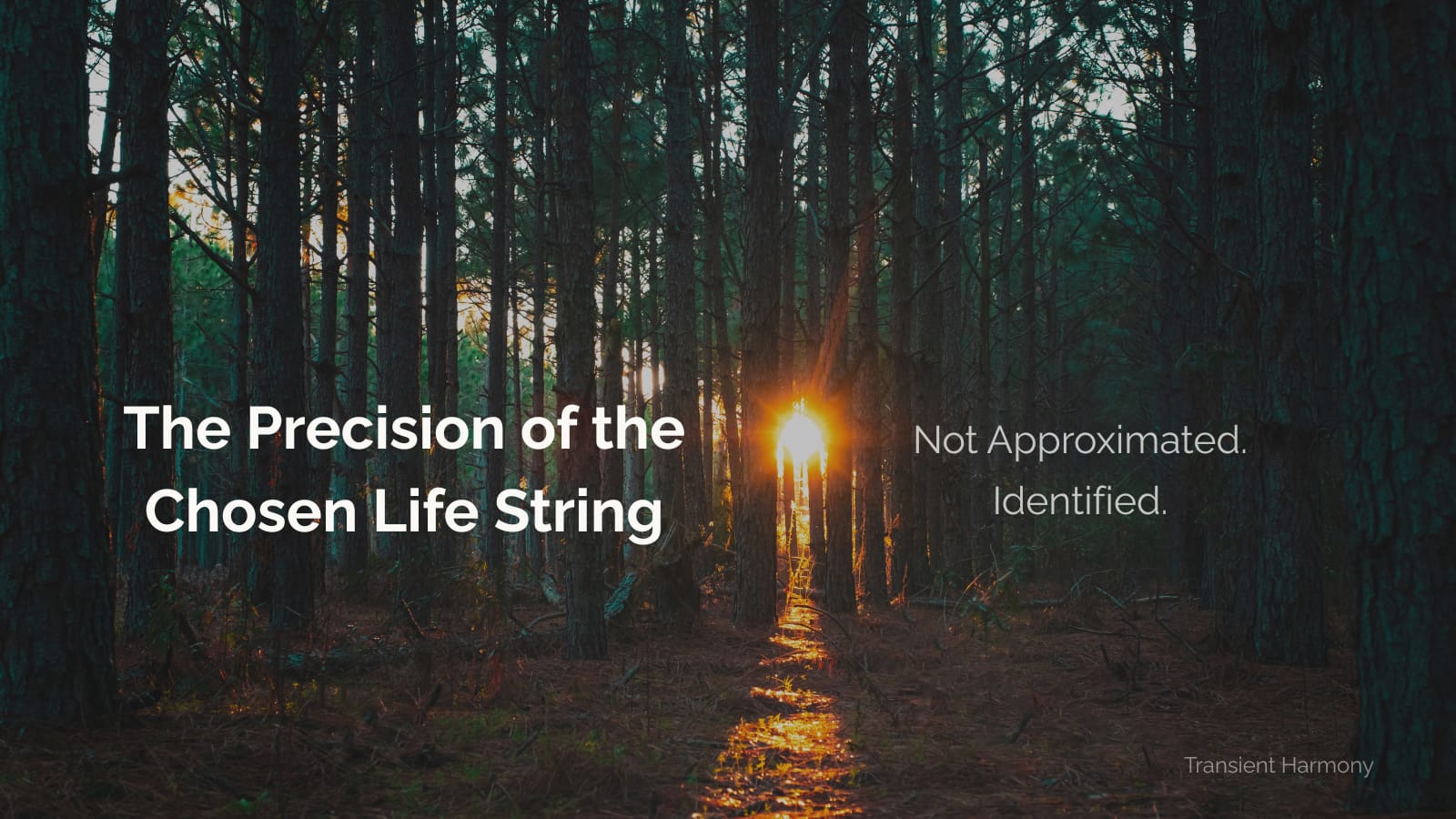 The Precision of the Chosen Life String: Not Approximated. Identified. 1 The Precision of the Chosen Life String: Not Approximated. Identified.