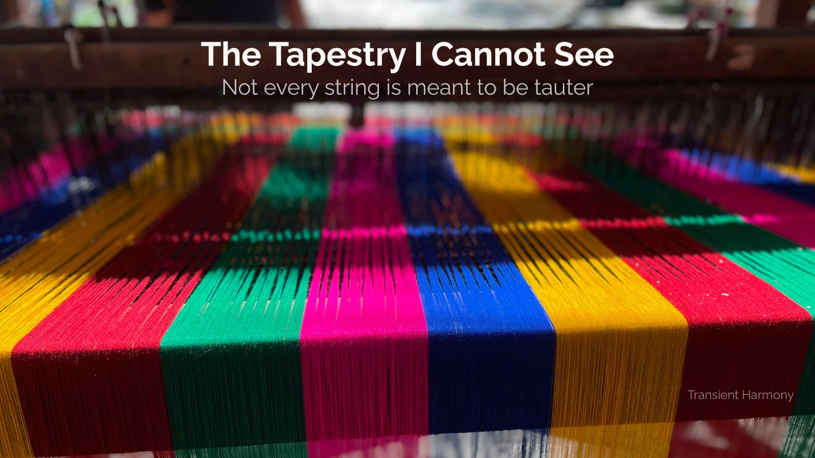 The Tapestry I Cannot See: Life Strings and Resonance
