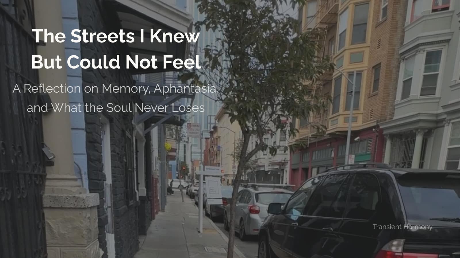 The Streets I Knew But Could Not Feel 4 The Streets I Knew But Could Not Feel