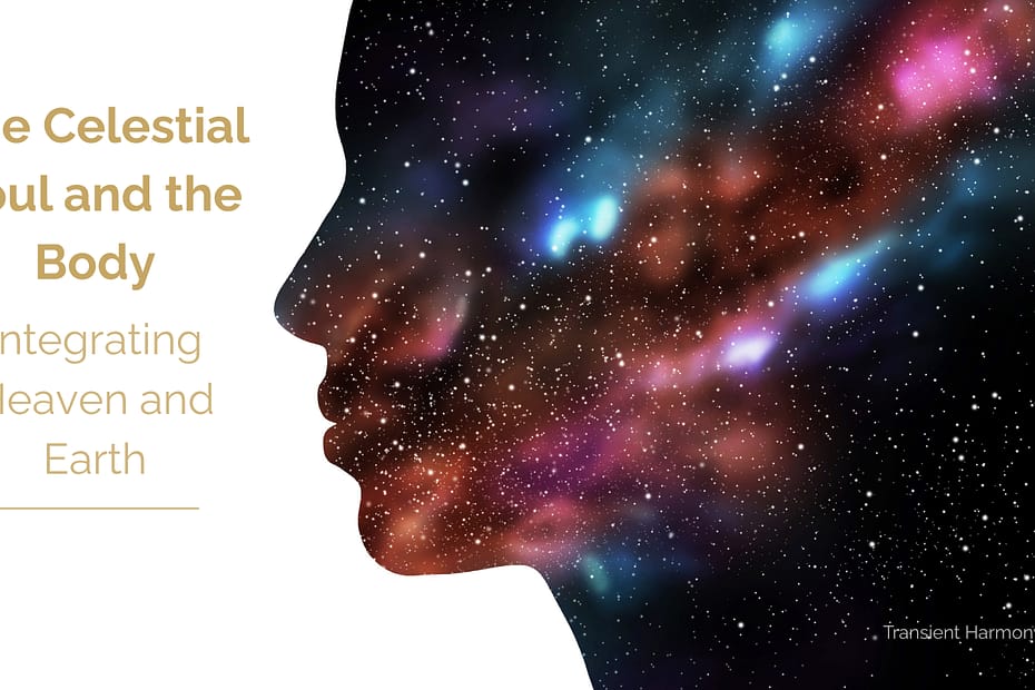 A human profile silhouette filled with a cosmic starfield, symbolizing the integration of the celestial soul with embodied human experience.