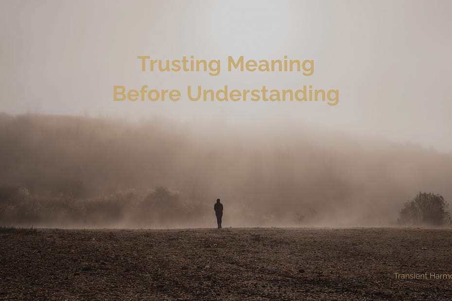 Featured image for the Transient Harmony essay “Trusting Meaning Before Understanding,” showing a solitary figure standing in a misty open landscape, evoking trust, presence, and quiet reflection.