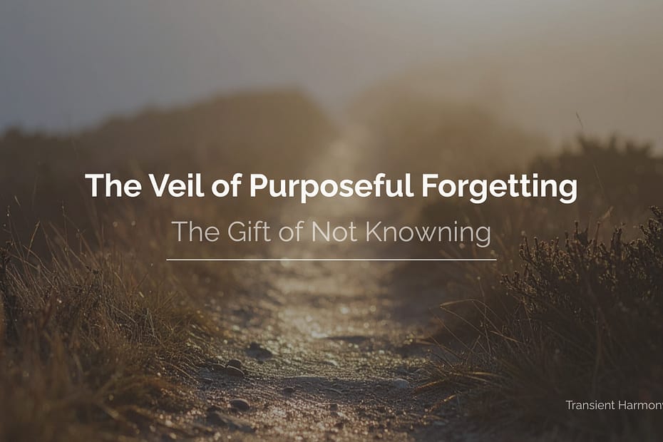 A narrow path leading forward through soft light and haze, suggesting a journey into the unknown.