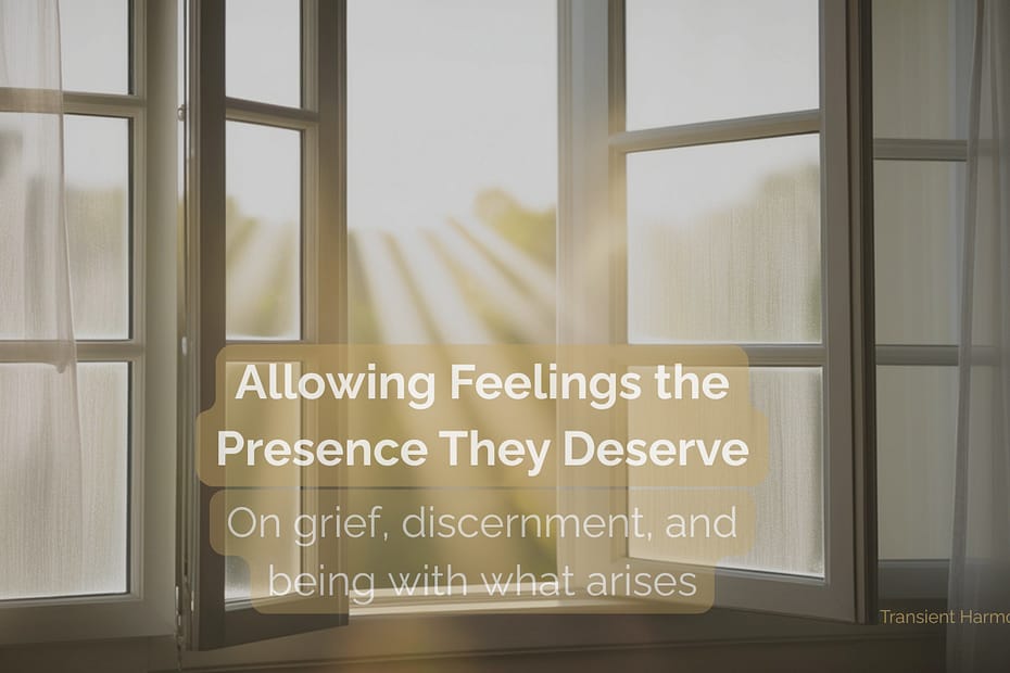 Soft morning light entering through an open window, illuminating a quiet interior space.