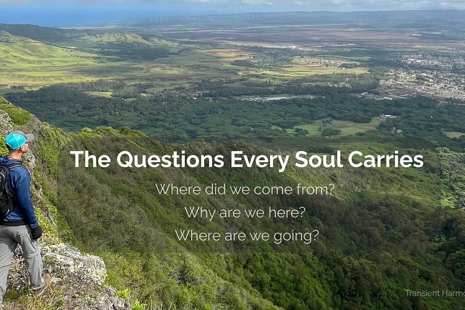 A hiker standing on a mountain ridge looking out over a vast valley and distant ocean — The Questions That Won't Let Go, a reflective essay by Braddon Damien White for Transient Harmony