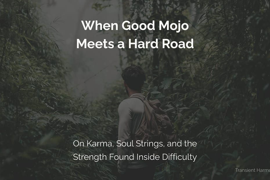 A solitary traveler with a backpack faces forward into a dense misty forest path — featured image for "When Good Mojo Meets a Hard Road" by Braddon Damien White, Transient Harmony