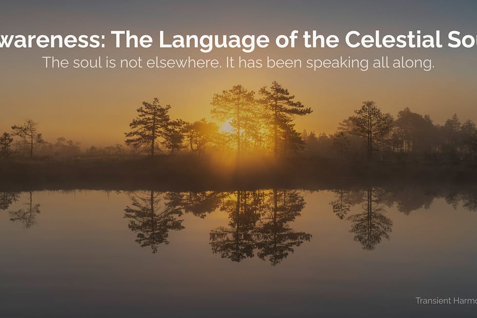 Awareness: The Language of the Celestial Soul: The soul is not elsewhere. It has been speaking all along. 5 Dawn light over a still forest lake with perfect water reflection, evoking quiet depth and inner awareness — Awareness: The Language of the Celestial Soul