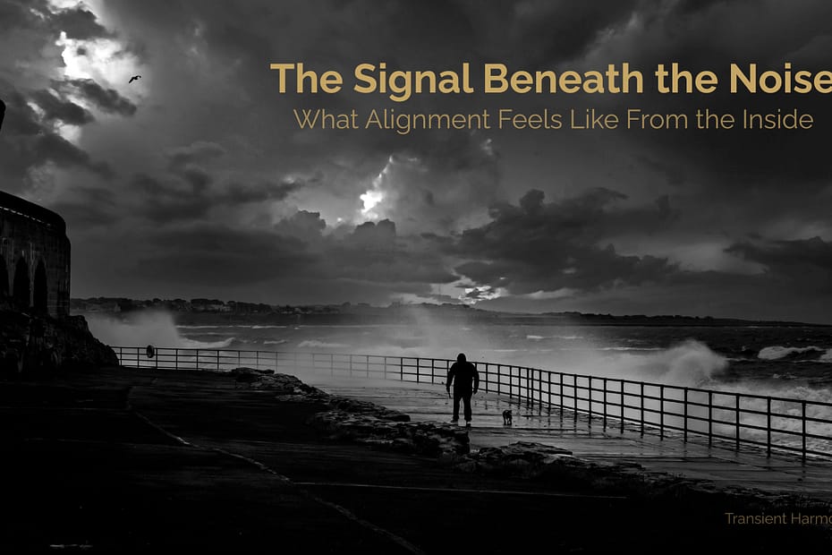 A solitary figure stands with a dog on a storm-battered coastal promenade, facing turbulent waves and a dramatic sky, with the title "The Signal Beneath the Noise — What Alignment Feels Like From the Inside" by Braddon Damien White for Transient Harmony.