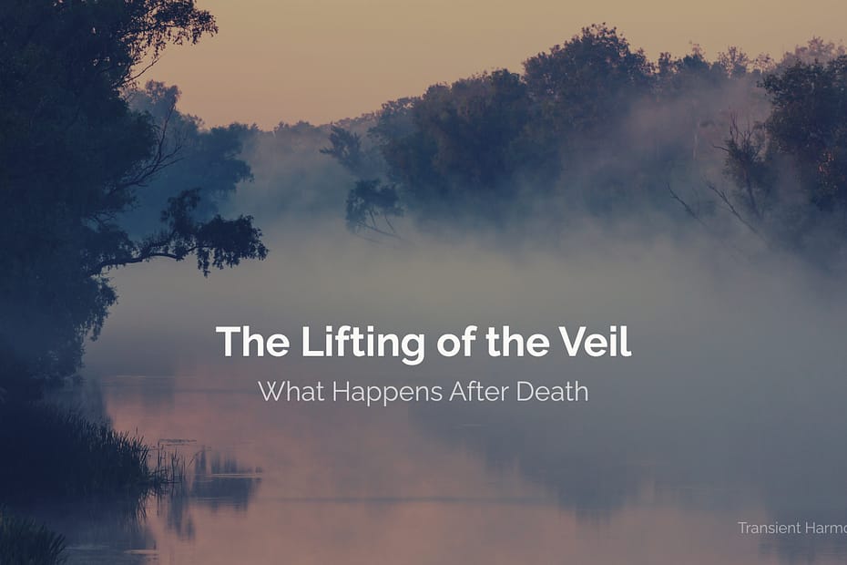 Misty river at dawn with fog lifting over water and trees, illustrating "The Lifting of the Veil: What Happens After Death" by Braddon Damien White.