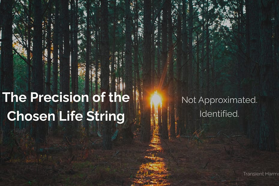 A single beam of sunlight breaking through a dense forest onto a glowing path, with the title "The Precision of the Chosen Life String" — an essay by Braddon Damien White.