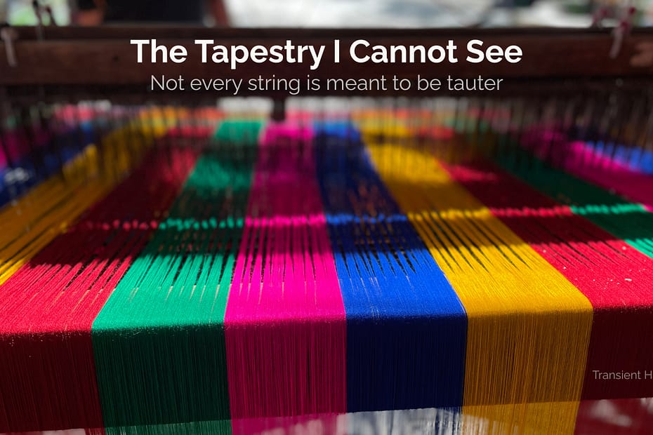 Vertical threads of red, green, magenta, blue, and gold on a traditional Mexican floor loom — The Tapestry I Cannot See, Braddon Damien White