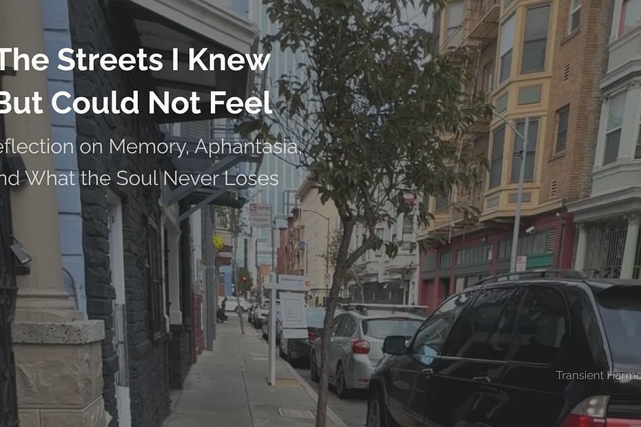 The Streets I Knew But Could Not Feel 2 The actual San Francisco street from "The Streets I Knew But Could Not Feel" — a quiet residential block Braddon Damien White once lived and worked on, walked again twenty years later